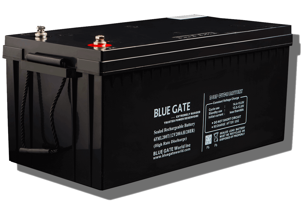 BLUE GATE -  AGM BLACK